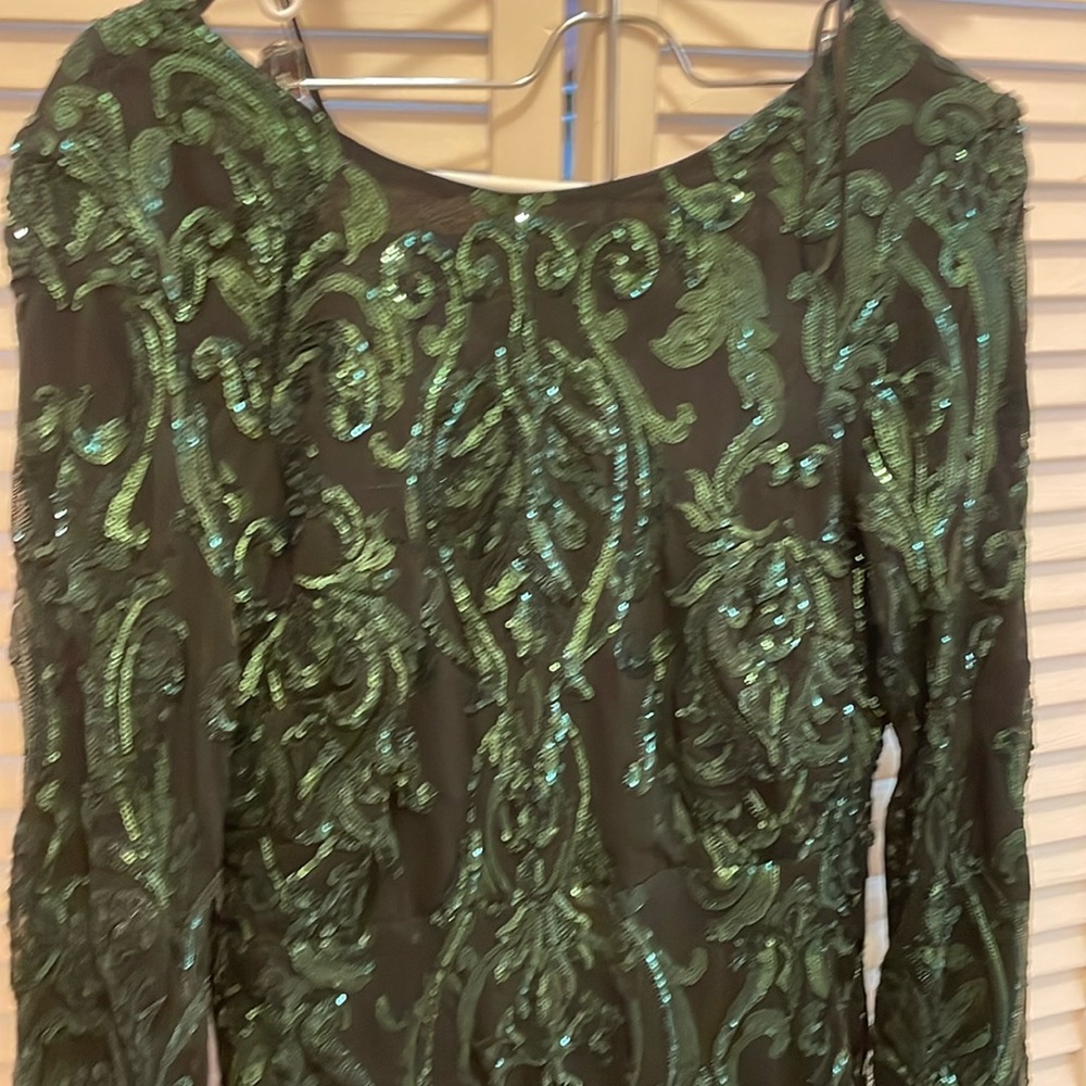 Green Sequin Dress.